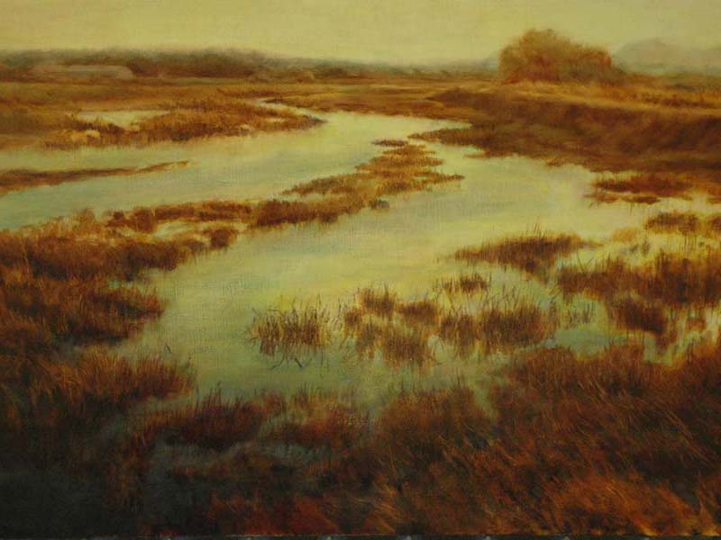 Skagit Flats